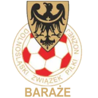 logo Baraże o awans